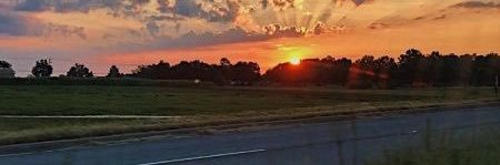 🌺🇸🇦🌺 banner