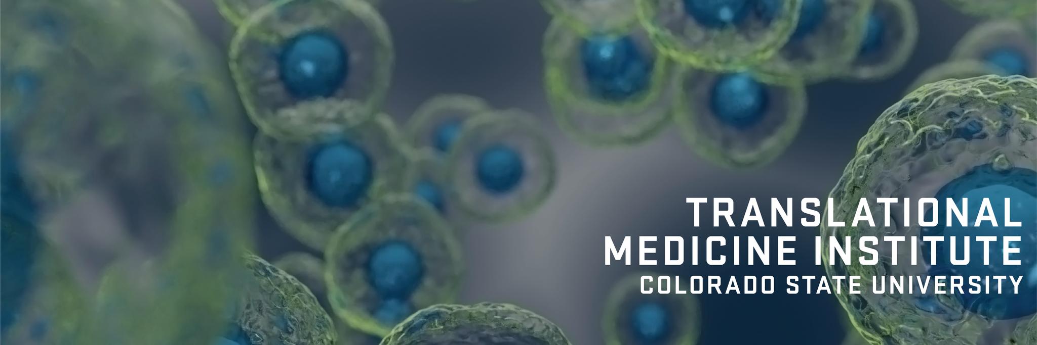 TRANSLATIONAL MEDICINE INSTITUTE banner