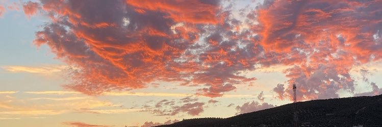 juditheespejo's profile banner image