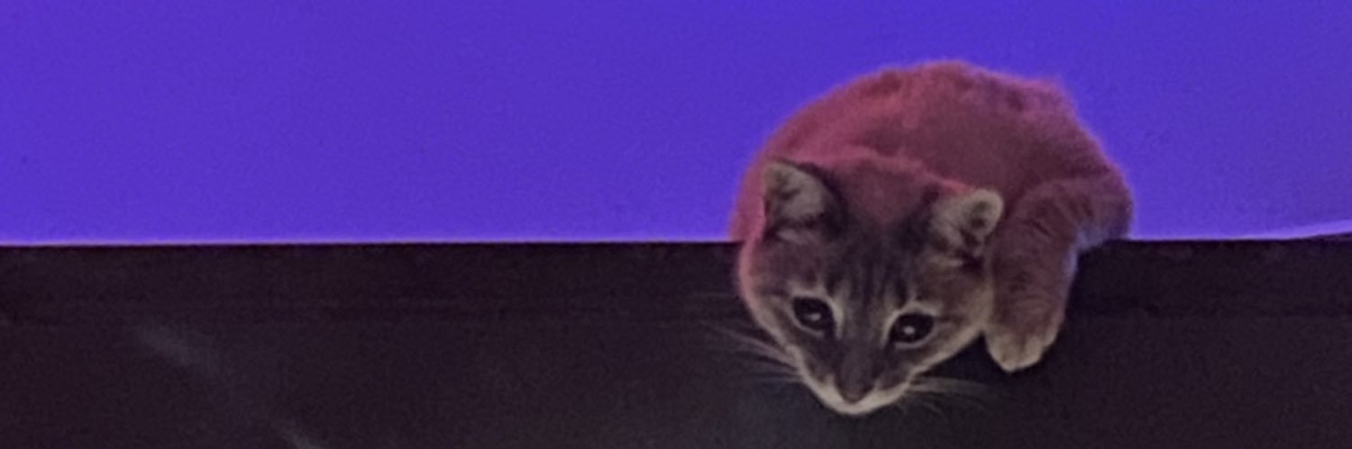 melbtfg's profile banner image
