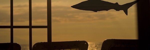 stratad Profile Banner