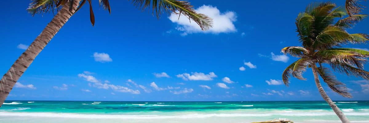 mapa_maya's profile banner image