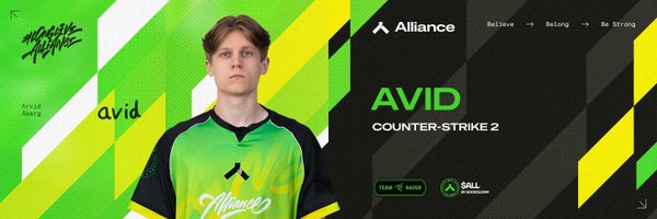 avid_csgo Profile Banner