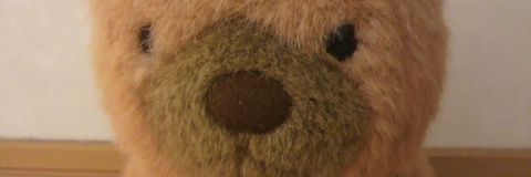 pii329's profile banner image
