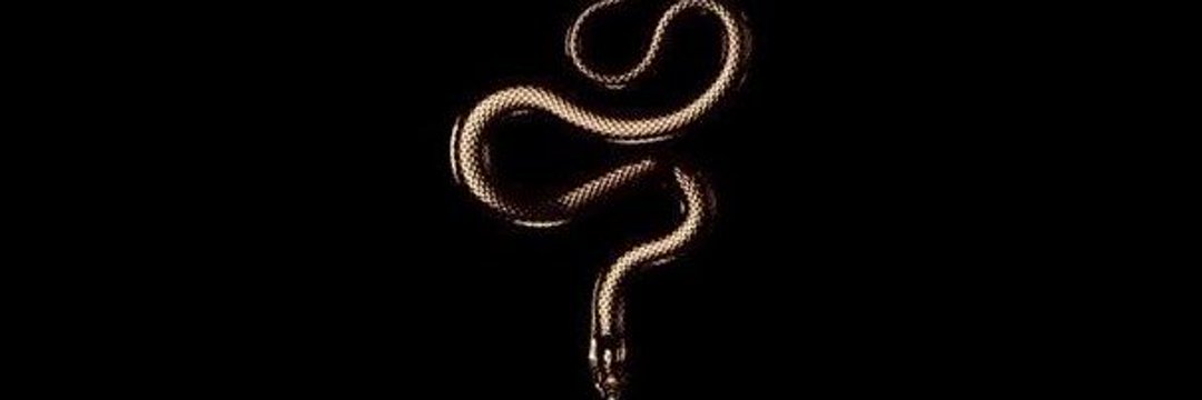 HaticeOlus's profile banner image