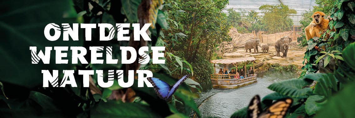 WildlandsNL's profile banner image