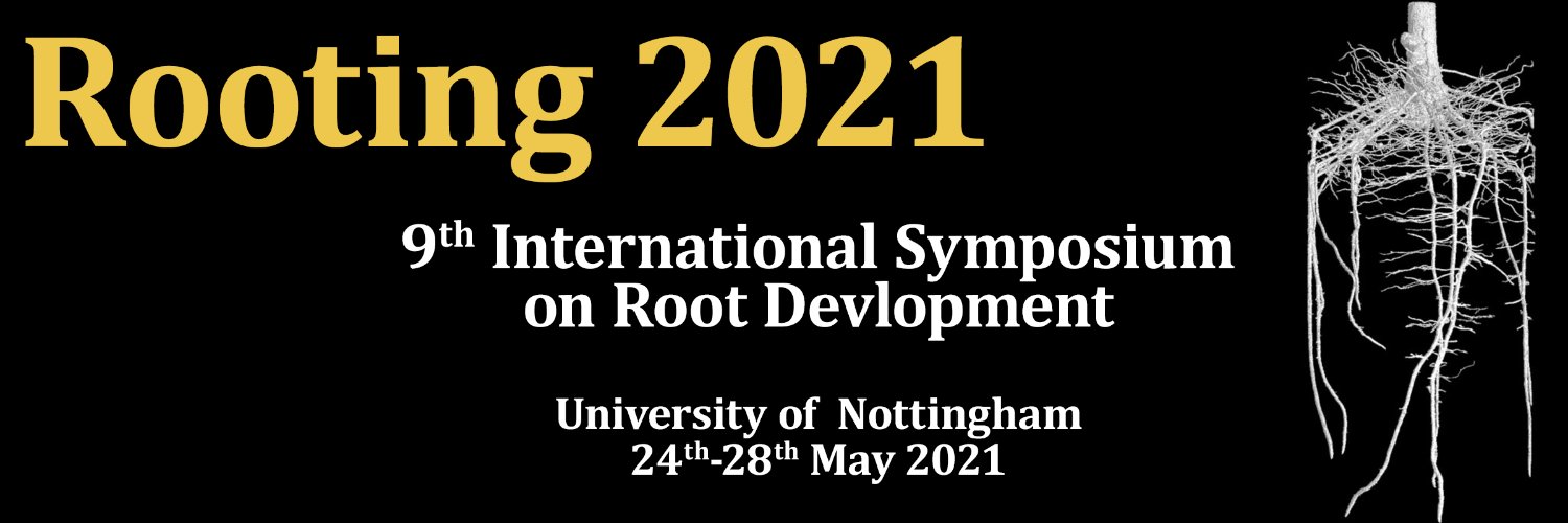 Rooting2021's banner