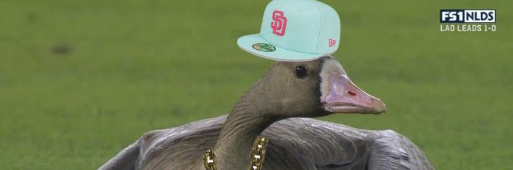 brent says go Padres, go SDFC 🟡's banner