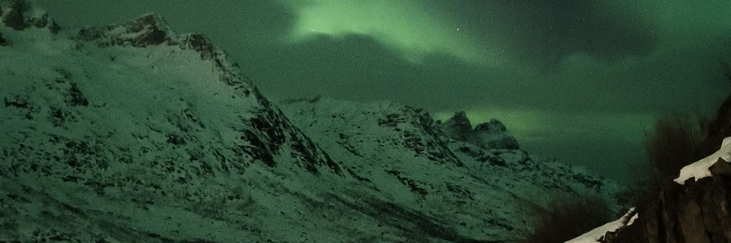lmxcc's profile banner image