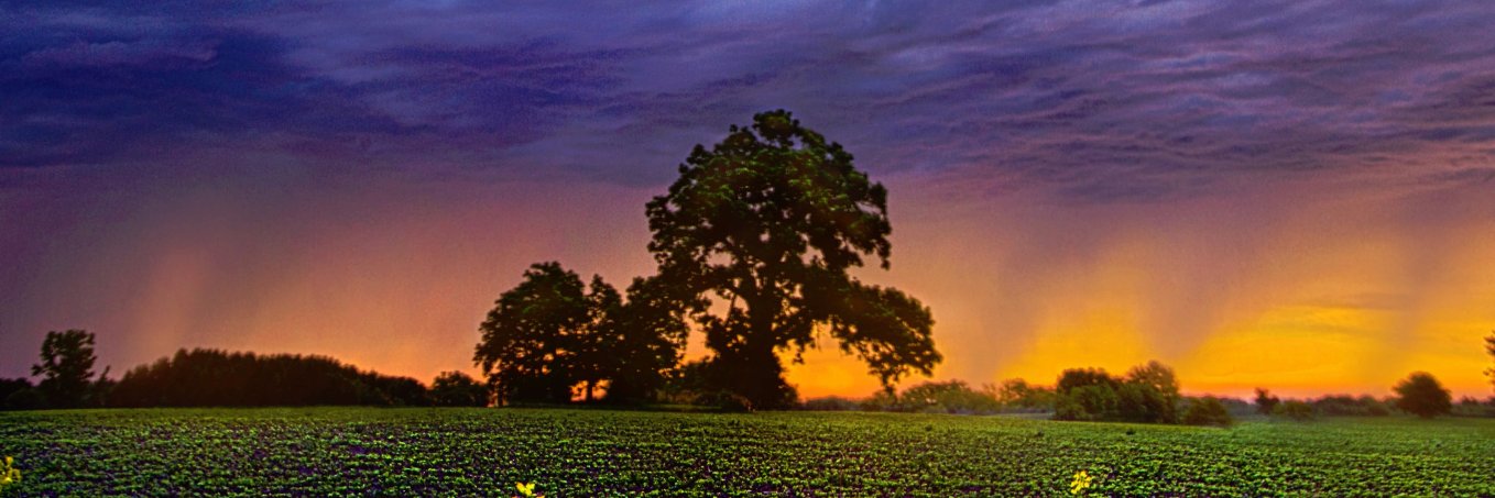 PicBurst's profile banner image