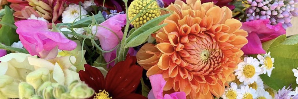 Karen 🌺 (she/elle) banner