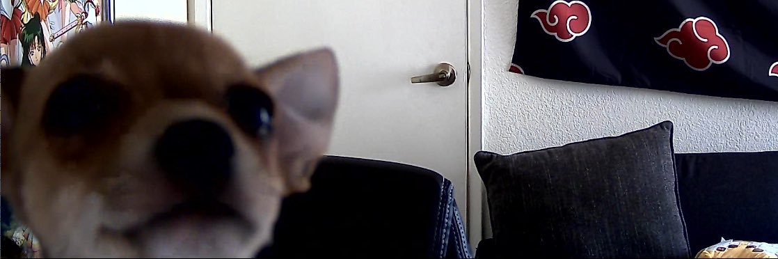 RealAluminumBoy's profile banner image