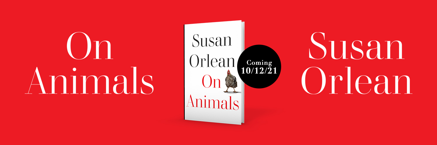 Susan Orlean banner