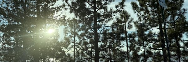 itsselectra Profile Banner