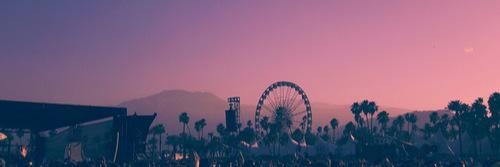 carolina__mfc's profile banner image