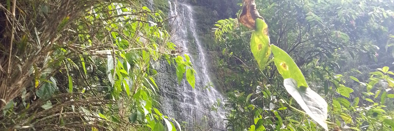 Mile1104😎😋🧐 banner