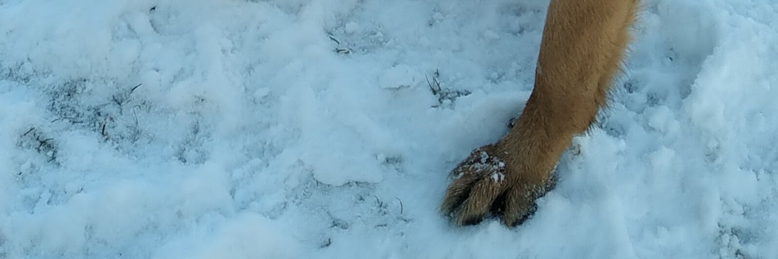topotin's profile banner image