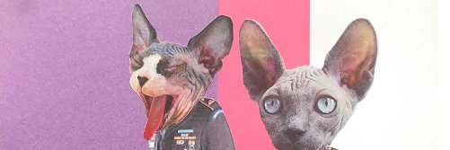 TeessideComedy's profile banner image