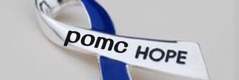 POMCmomma's profile banner image
