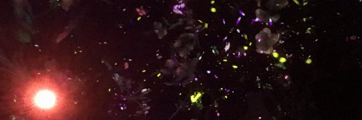 4_Miiiii's profile banner image
