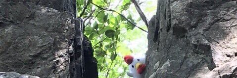 ともも banner