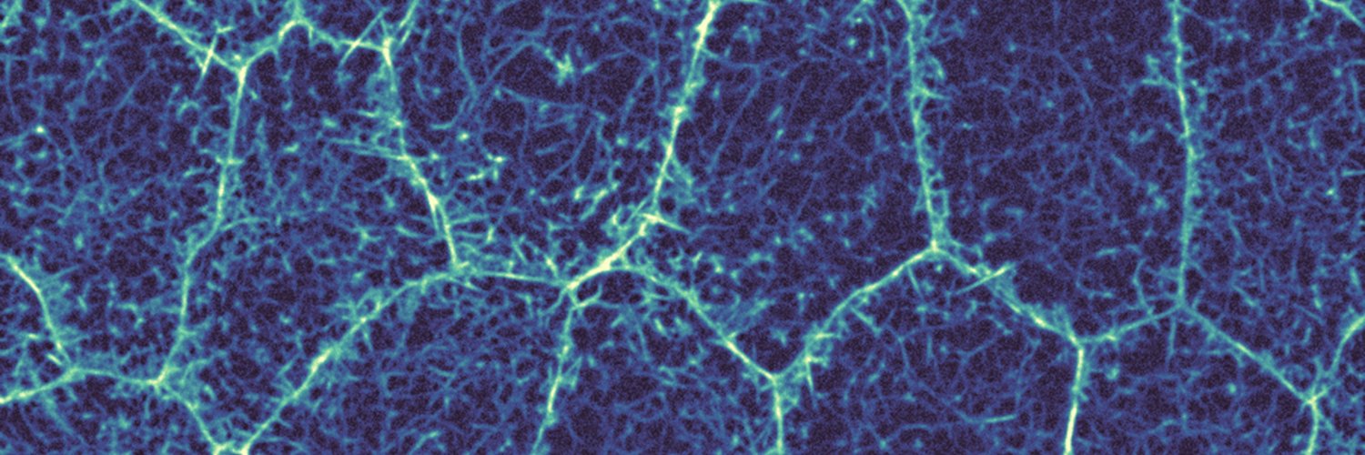 Benoit Dehapiot banner