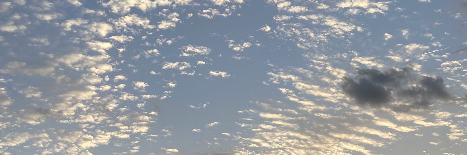 巨根好きのお姉さん banner
