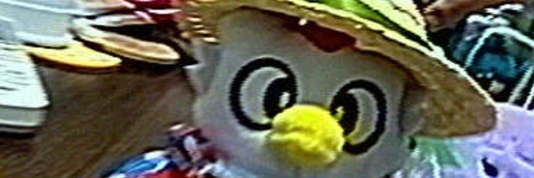 しある©®️ banner