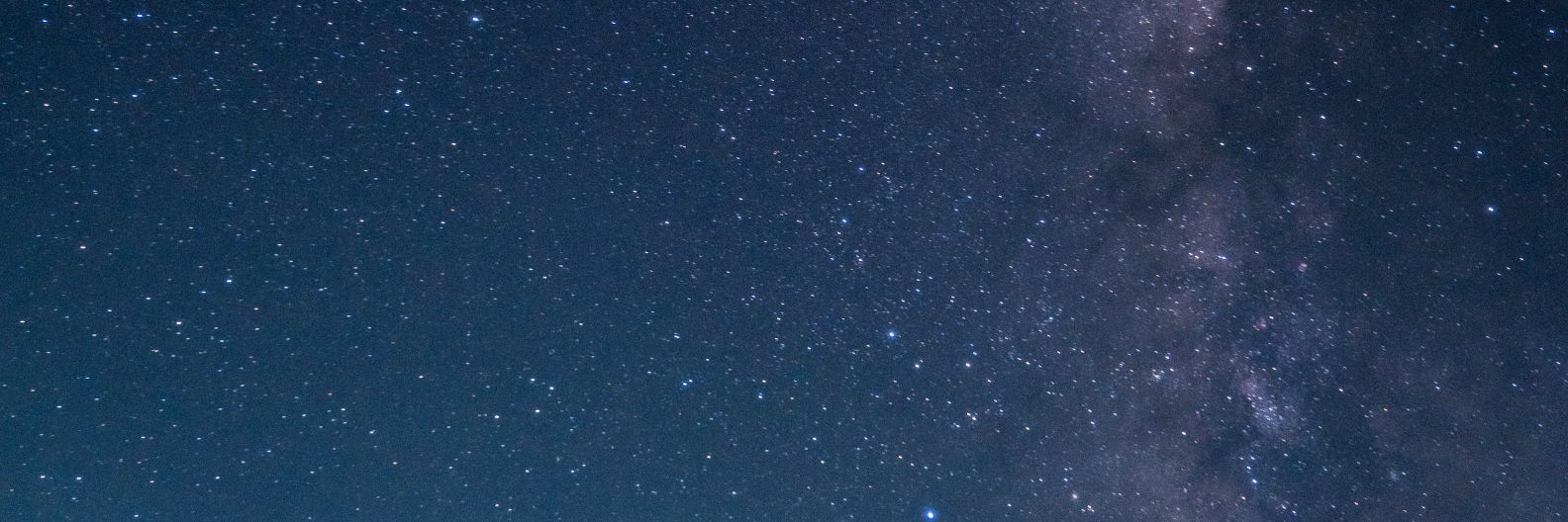 Patricia Jupiter banner