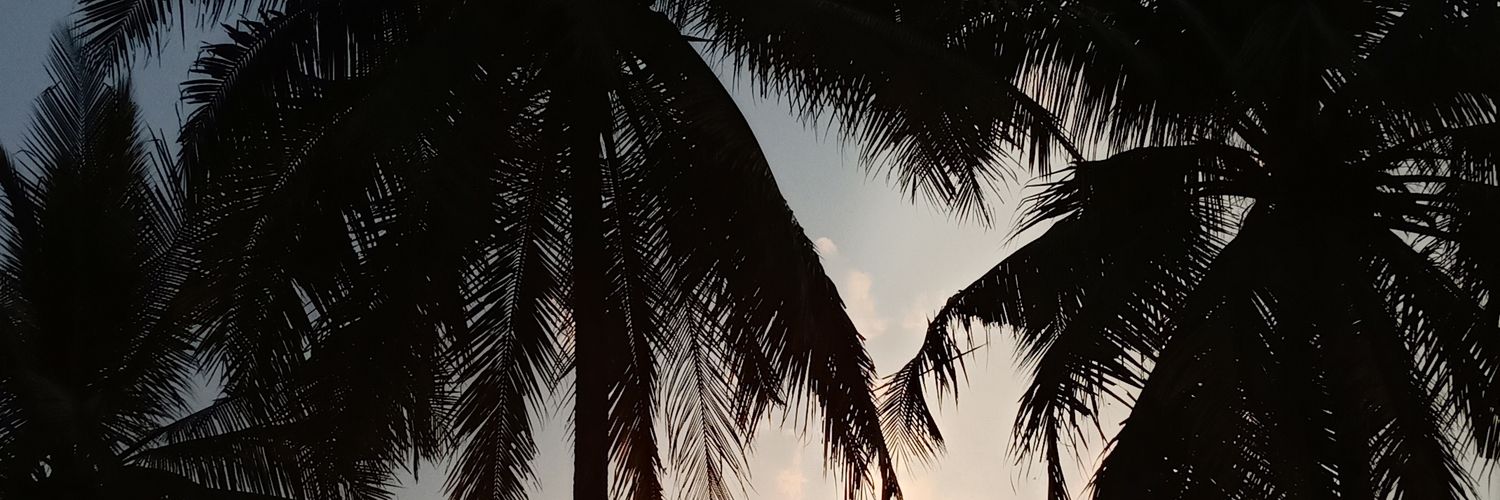 Faaharahap1's profile banner image