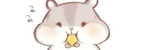 pany; люблю настю banner