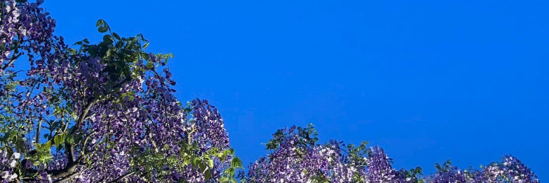 kaze0210's profile banner image