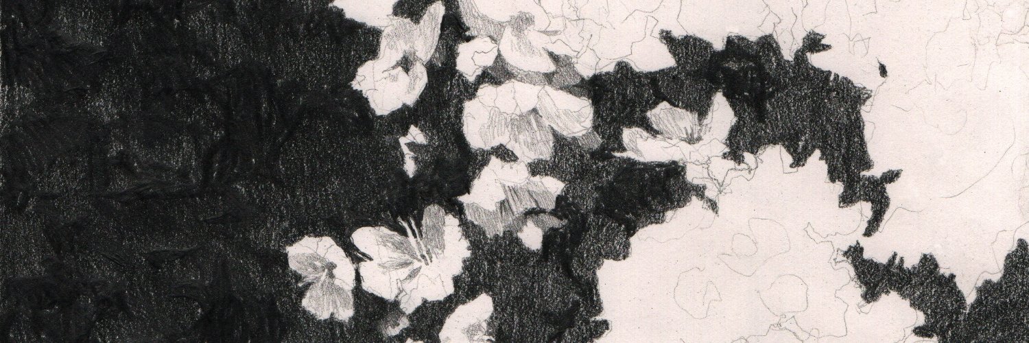 scott's banner