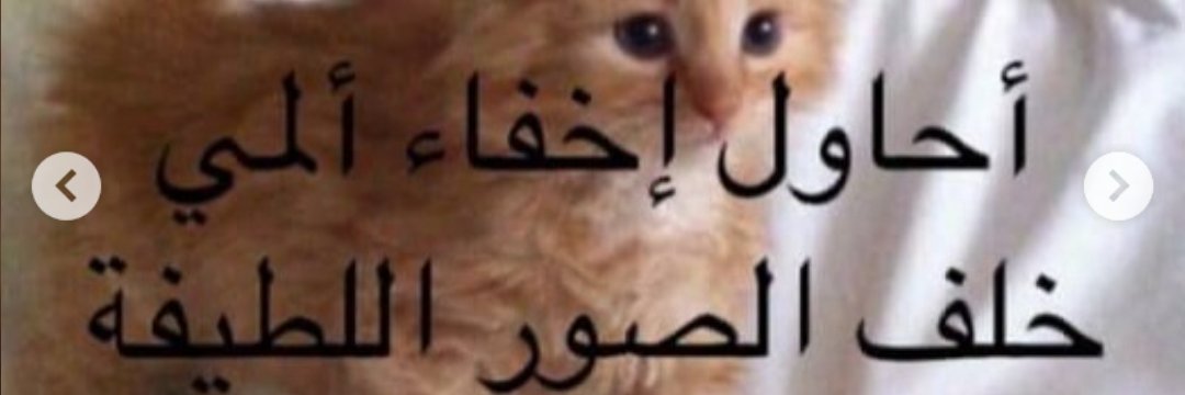lalalala banner