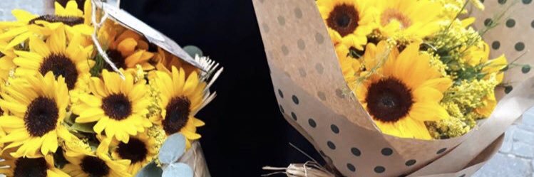 luzdelunaaa's profile banner image