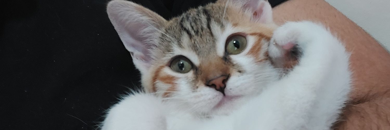 Aslanbugraa's profile banner image
