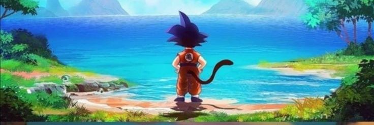 Czz banner
