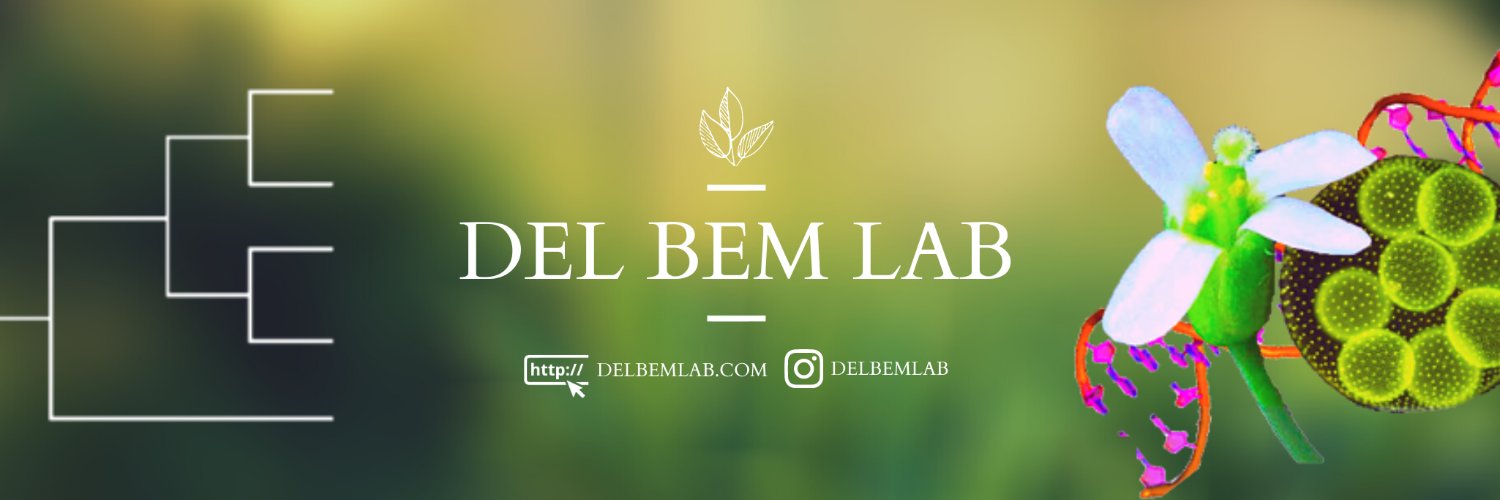Luiz-Eduardo Del-Bem's banner