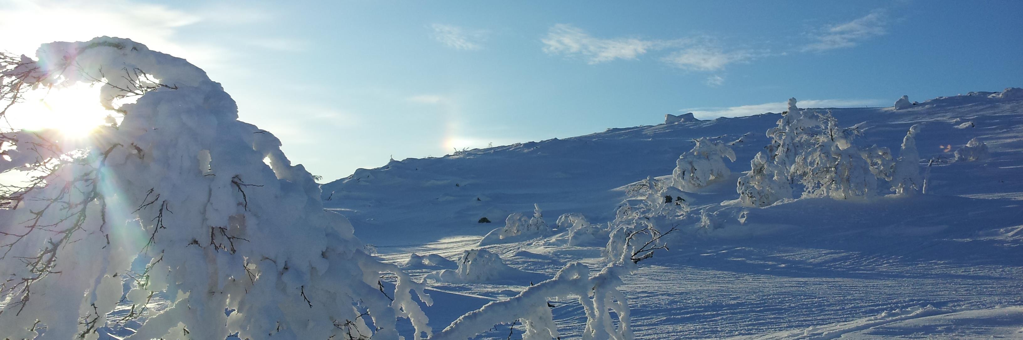annhill1111's profile banner image