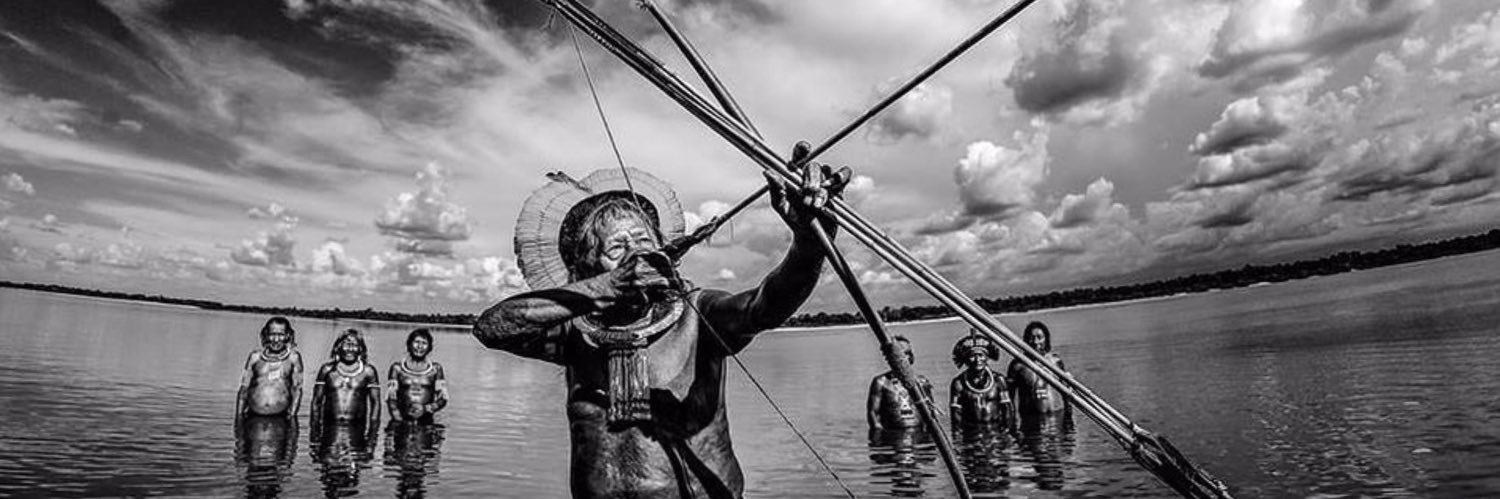 Instituto Raoni banner