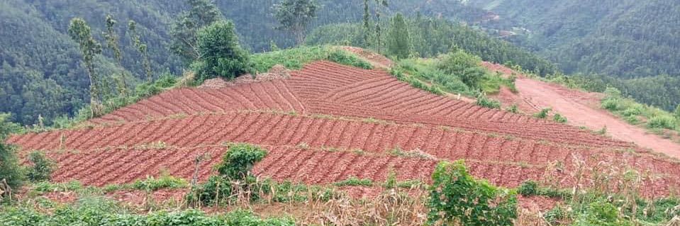 Ushakiran Timsena banner