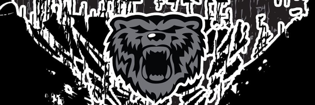 Hoco Lady Bears Basketball banner