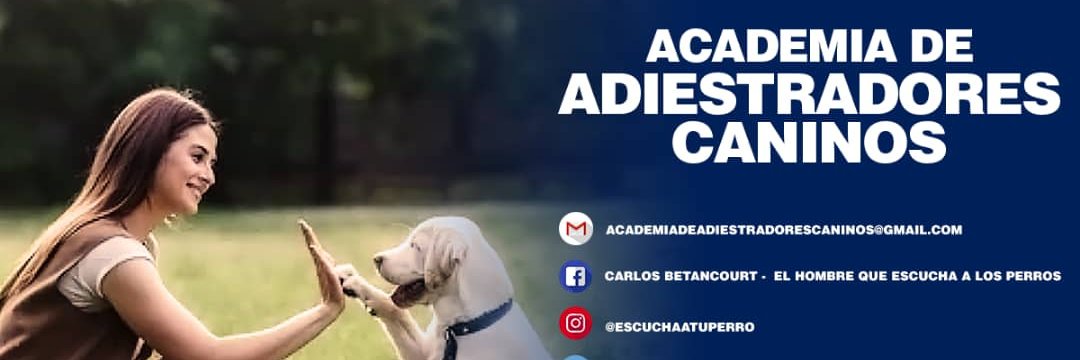 escuchaatuperro's profile banner image
