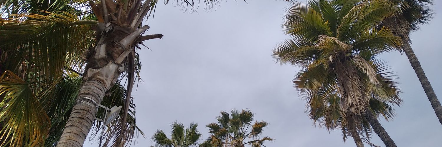 sadaymg's profile banner image