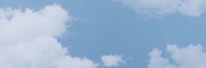 cici banner