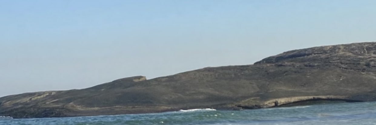 ultimamente, só pedro. banner