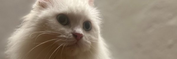 wayvcnft Profile Banner