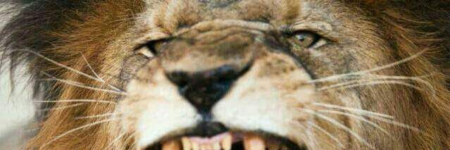 Daniel Olave Ordoñez banner