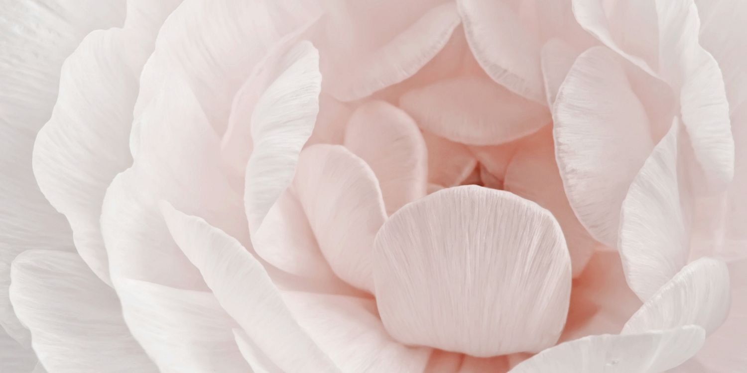 MirellaaLeon's profile banner image