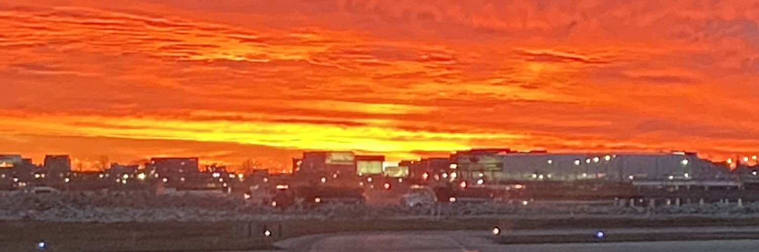 BO$$ladyPINKSaffire banner